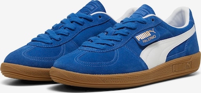 PUMA Sneaker 'Palermo' in kobaltblau / weiß, Produktansicht