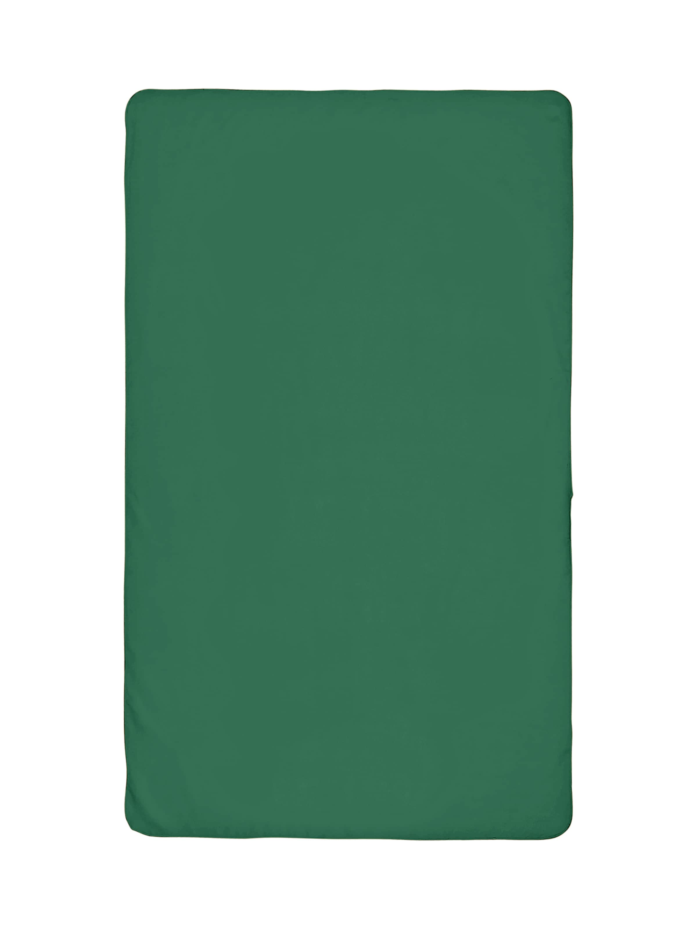 ARENA Handdoek 'MICROFIBER TOWEL' in Groen