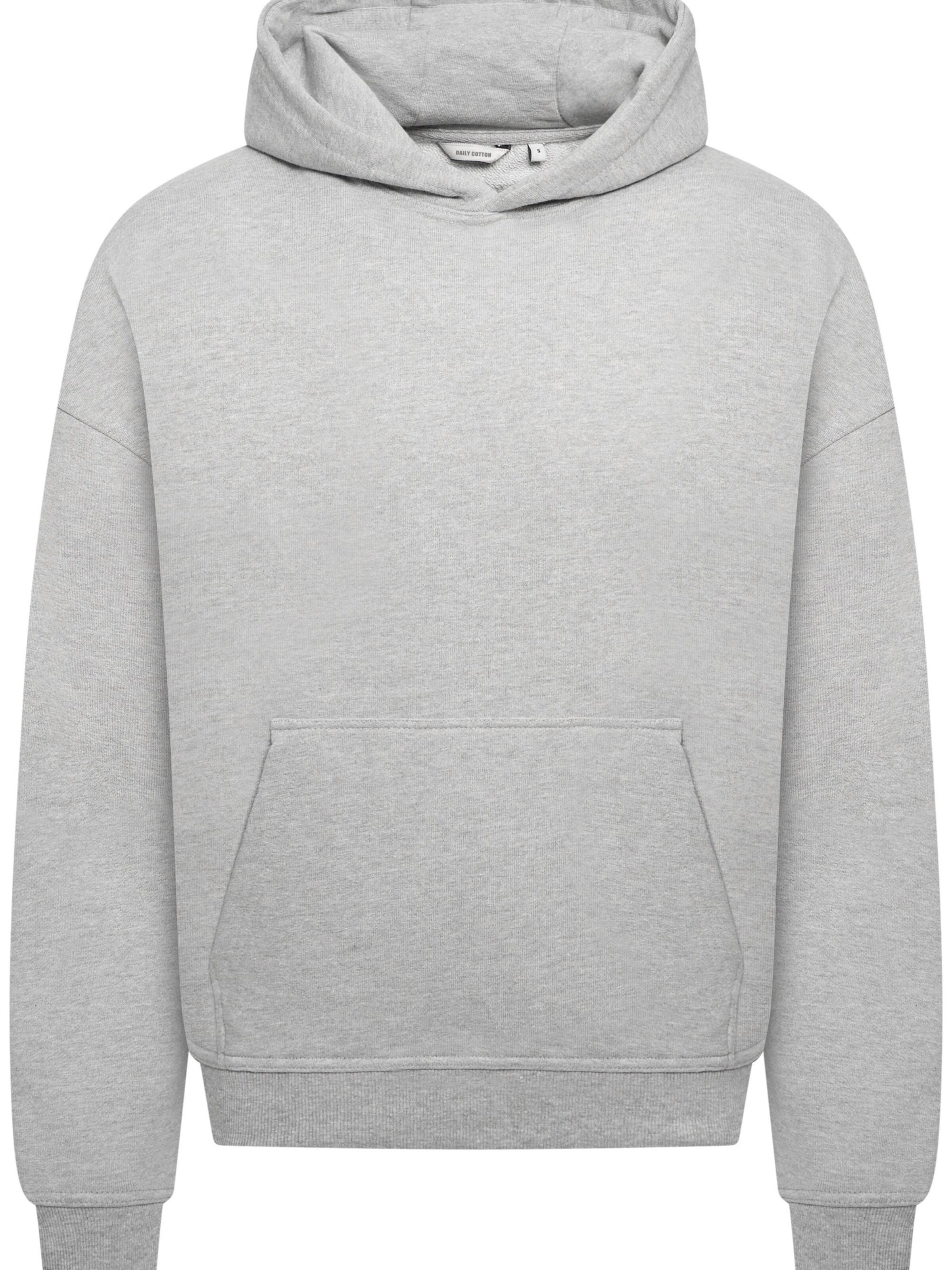 Daily Cotton Sweatshirt 'DCTERUEL' in Grey