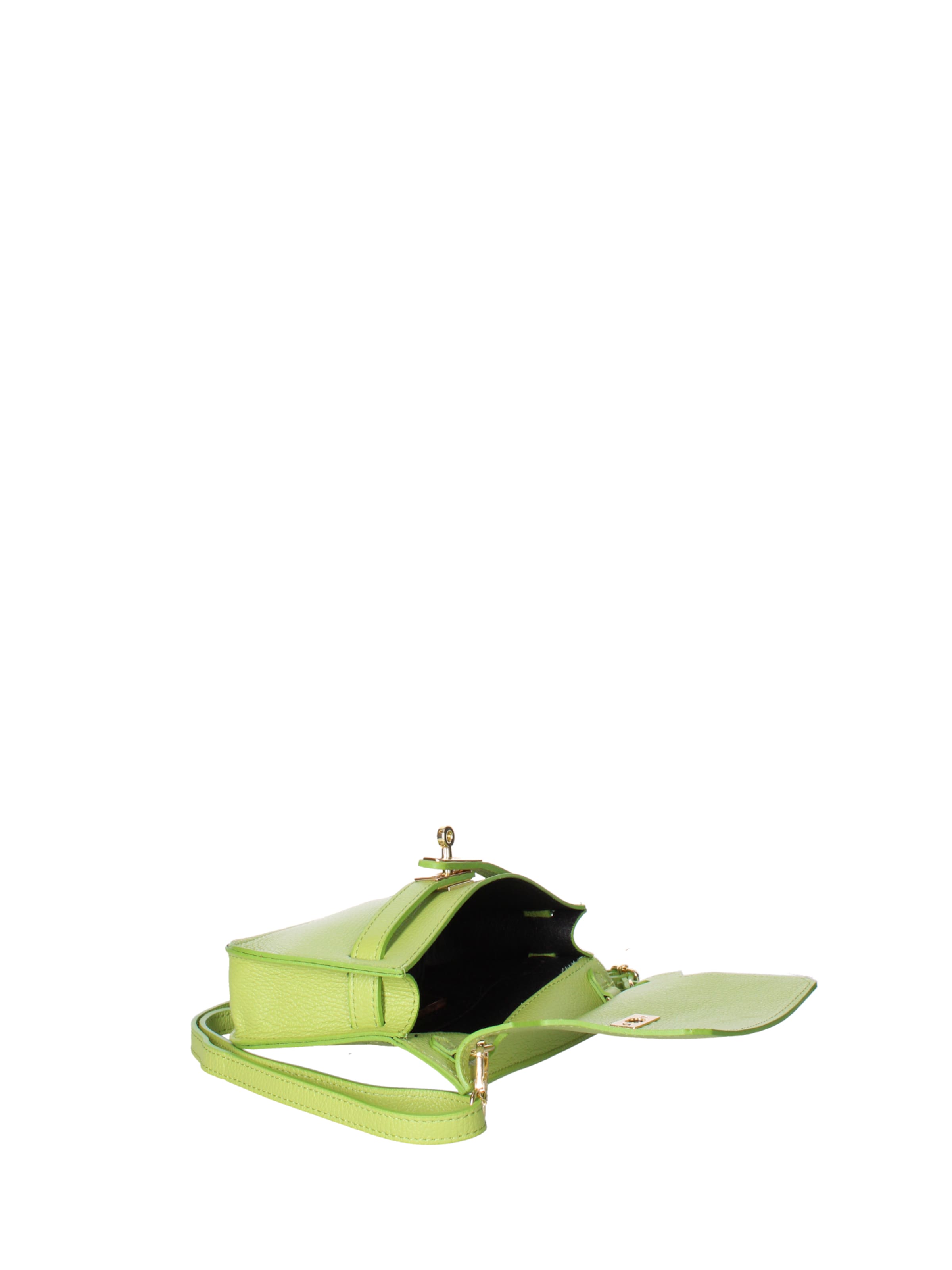 Viola Castellani Crossbody bag in Green