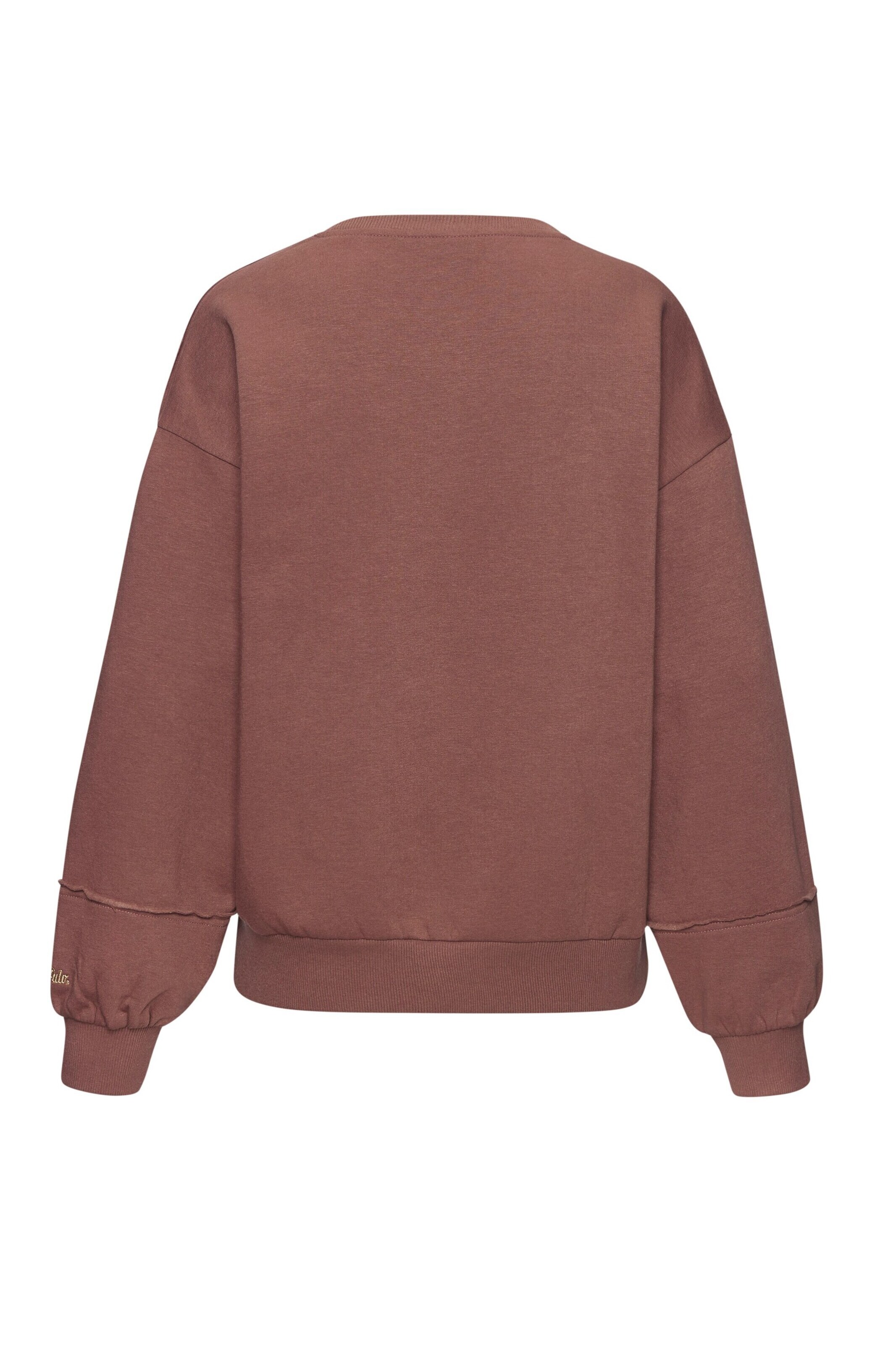 BUFFALO Sweatshirt in Brown
