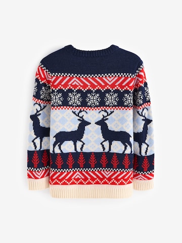 Next Sweater in Blue