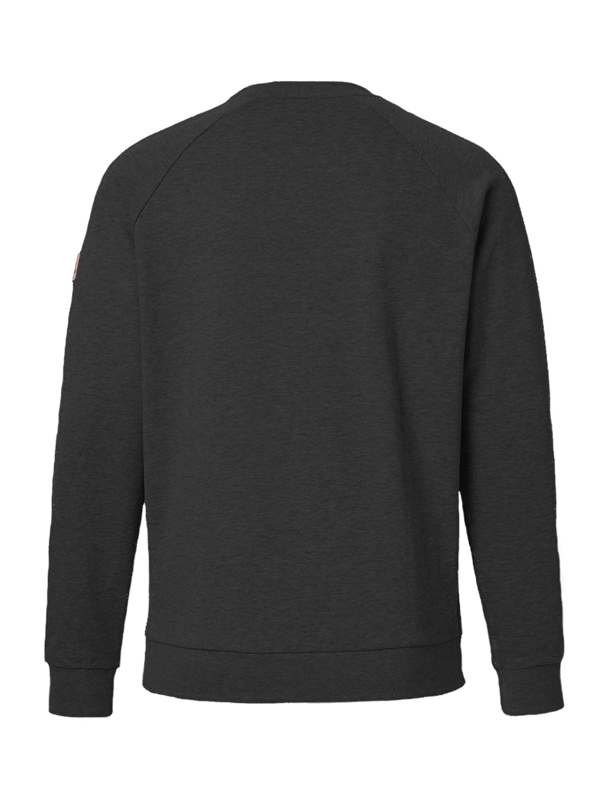 FORSBERG Sweatshirt 'mit Frottee Logo' in Grey