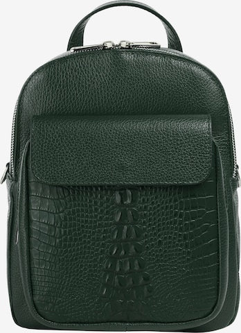 Cluty Backpack in Green: front