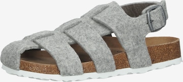 SHEPHERD Slippers in Grey: front