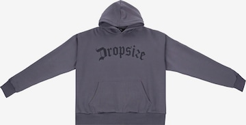 Dropsize Sweatshirt in Grey: front