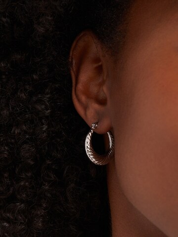 Boucles d'oreilles Lucardi en argent : devant