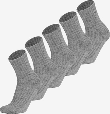 Chaussettes de sport Polar Husky en gris : devant