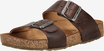 Mule HAFLINGER en marron : devant