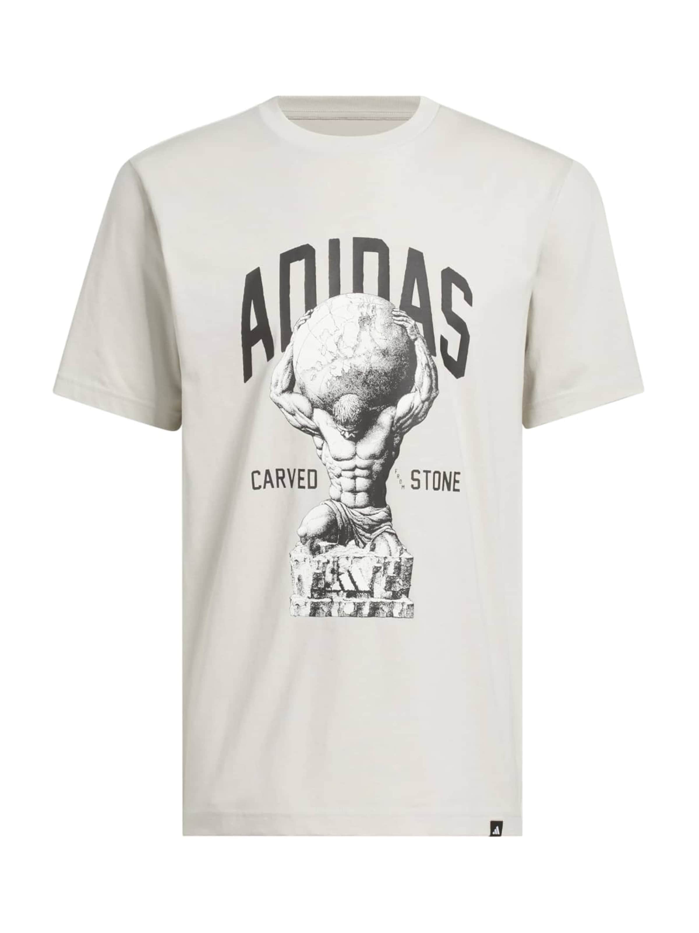 ADIDAS SPORTSWEAR Funkční tričko ve velikosti XXS-XS - grafitová / režná / světle šedá / černá, Produkt
