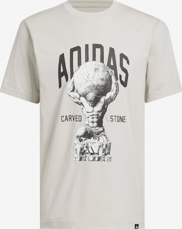 Tricou funcțional de la ADIDAS SPORTSWEAR pe gri: față