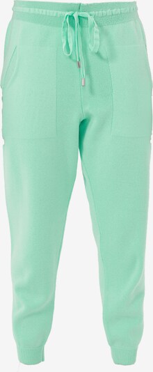 Pantaloni sport Jimmy Sanders pe verde, Vizualizare produs