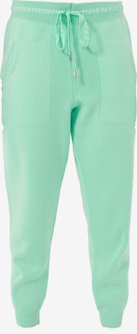 Effilé Pantalon de sport Jimmy Sanders en vert : devant