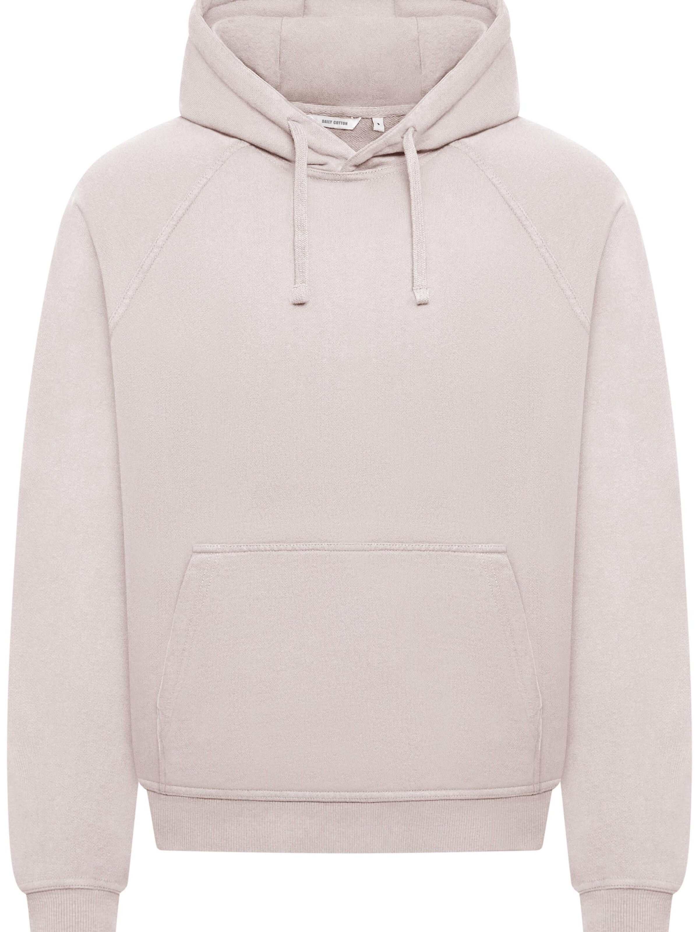 Daily Cotton Sweatshirt 'DCBAEZA' in Grey