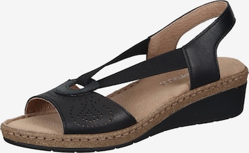 Comfortabel Sandals in Black: front