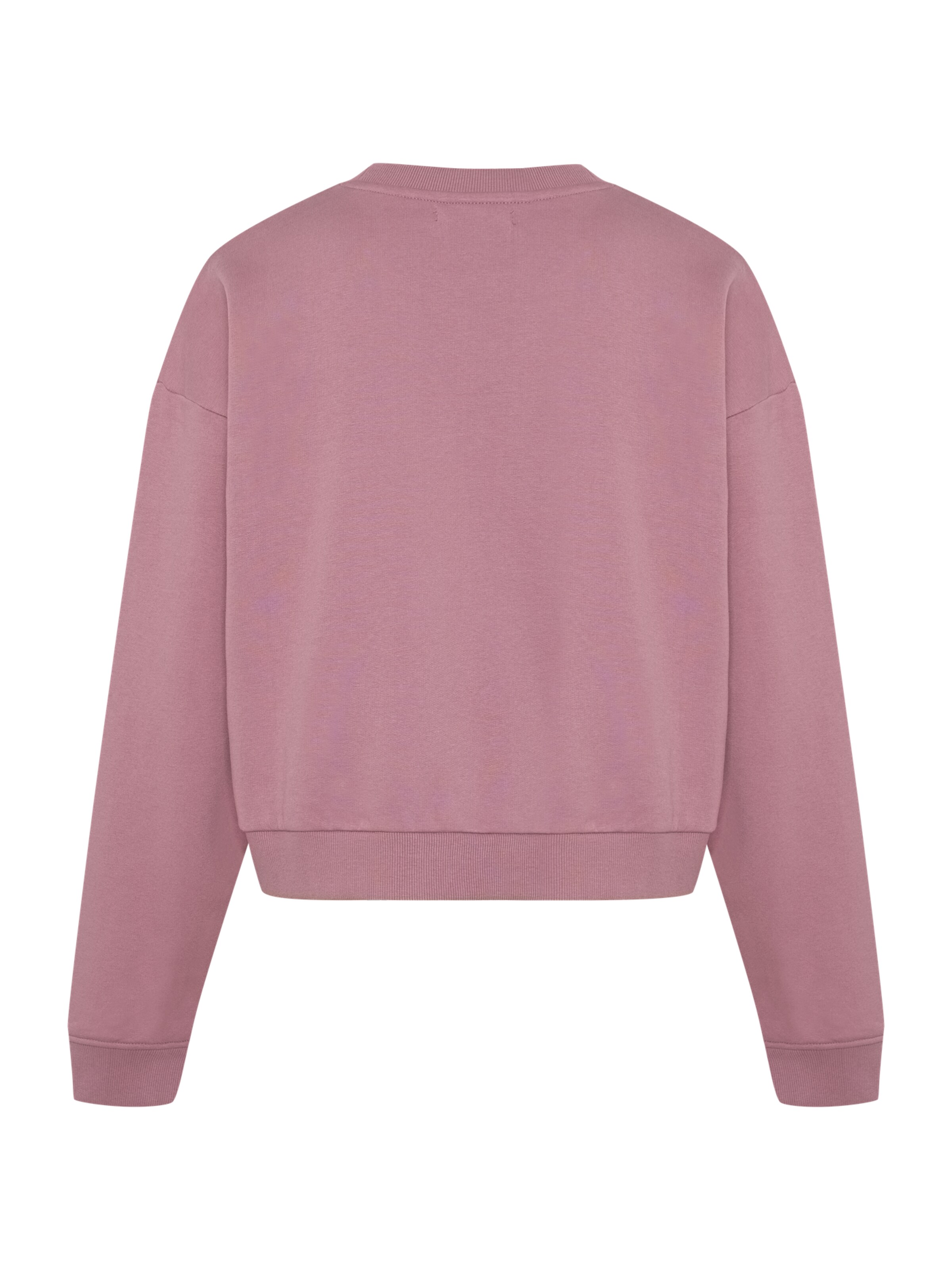 antargo Sweatshirt in Purple