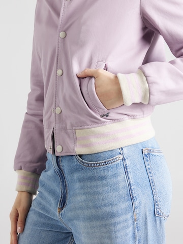 Maze Prehodna jakna | vijolična barva