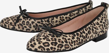 Crickit Ballet Flats ' JUANA ' in Brown