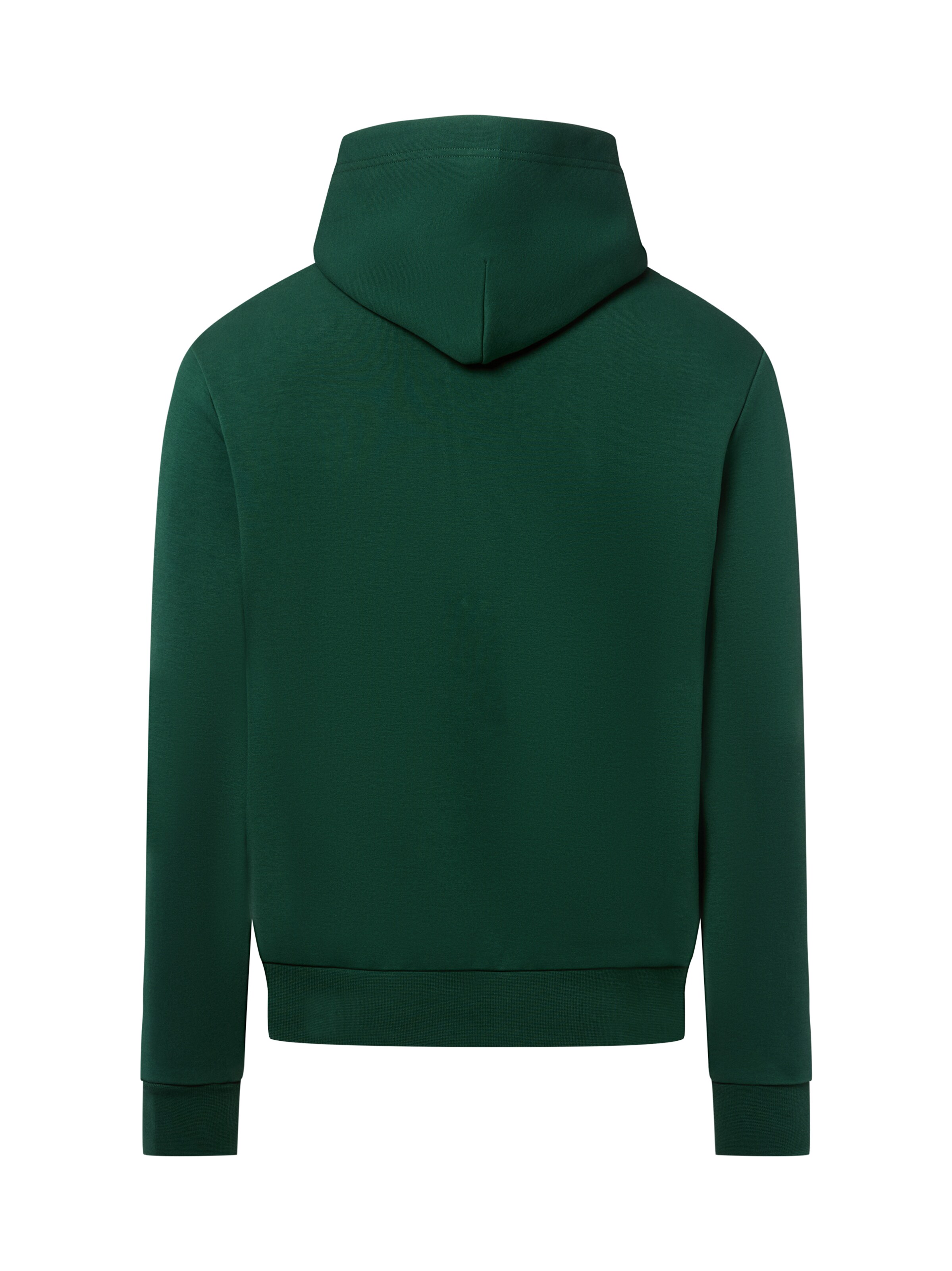 Polo Ralph Lauren Sweatshirt in Groen