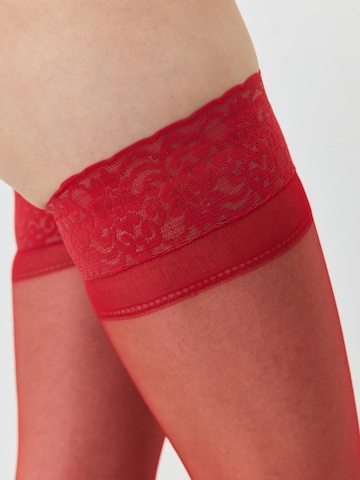 Collants avec fixation C&City en rouge