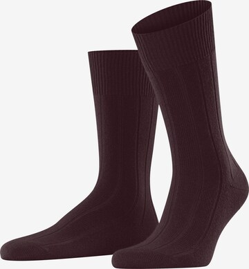 FALKE Socken 'Lhasa Rib' in Rot: Vorderseite