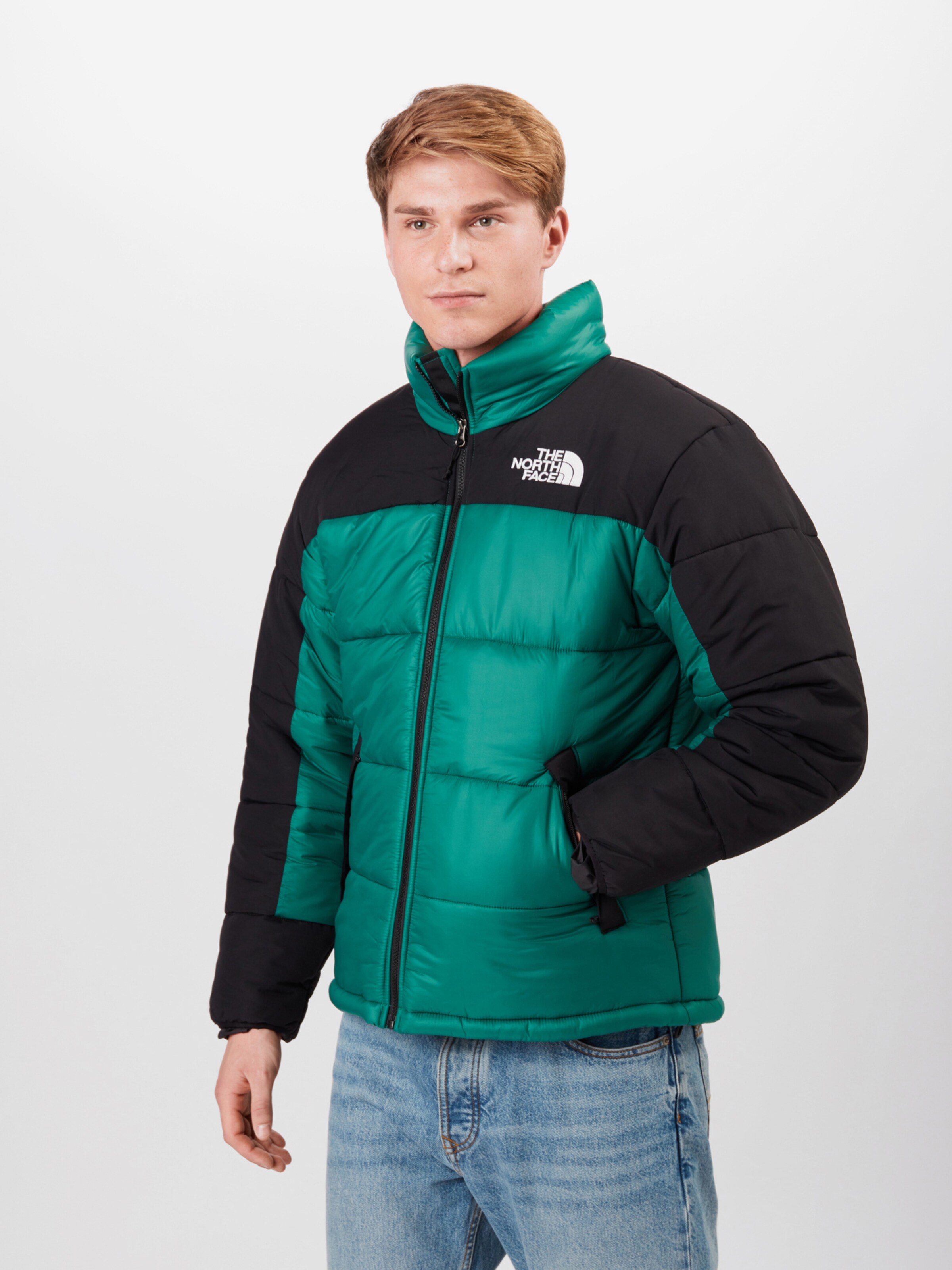 veste mi saison the north face