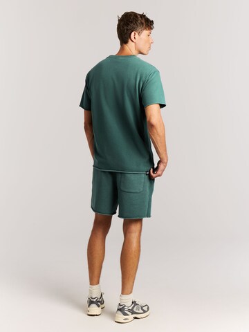 PROTEST Regular Pants 'PRTGalvan' in Green