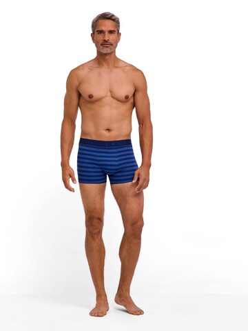 FALKE Boxer shorts 'Single Pack' in Blue