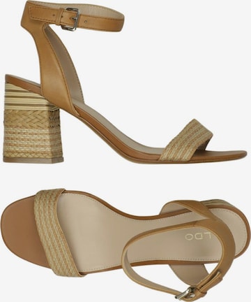 ALDO Sandals & High-Heeled Sandals in 39 in Brown: front