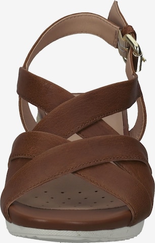 GEOX Strap Sandals in Brown