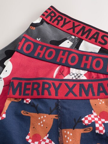 Next Underpants in Mixed colours