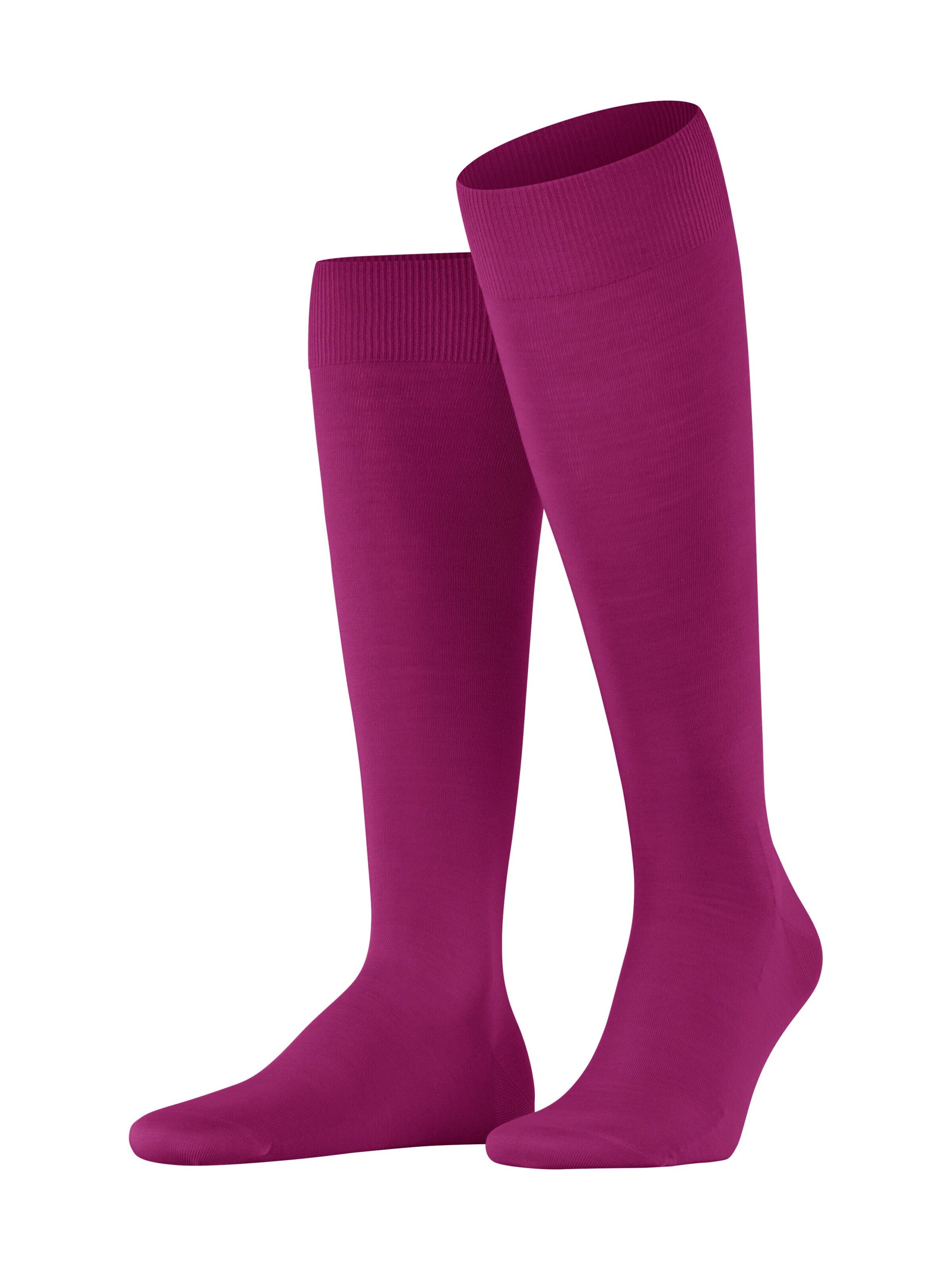 FALKE Knee High Socks 'ClimaWool' in Purple: front
