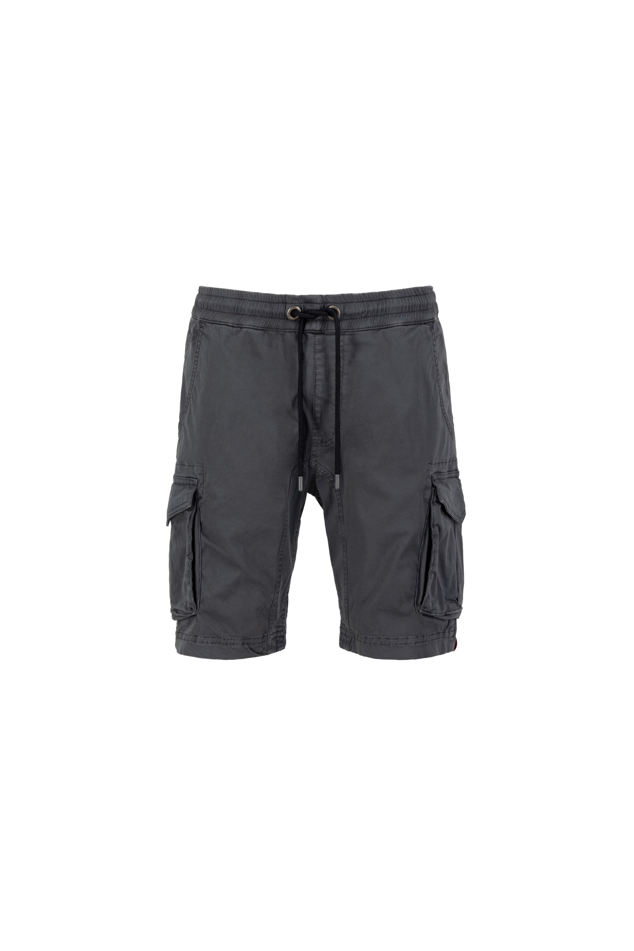 Pantaloni cargo di ALPHA INDUSTRIES in grigio: frontale