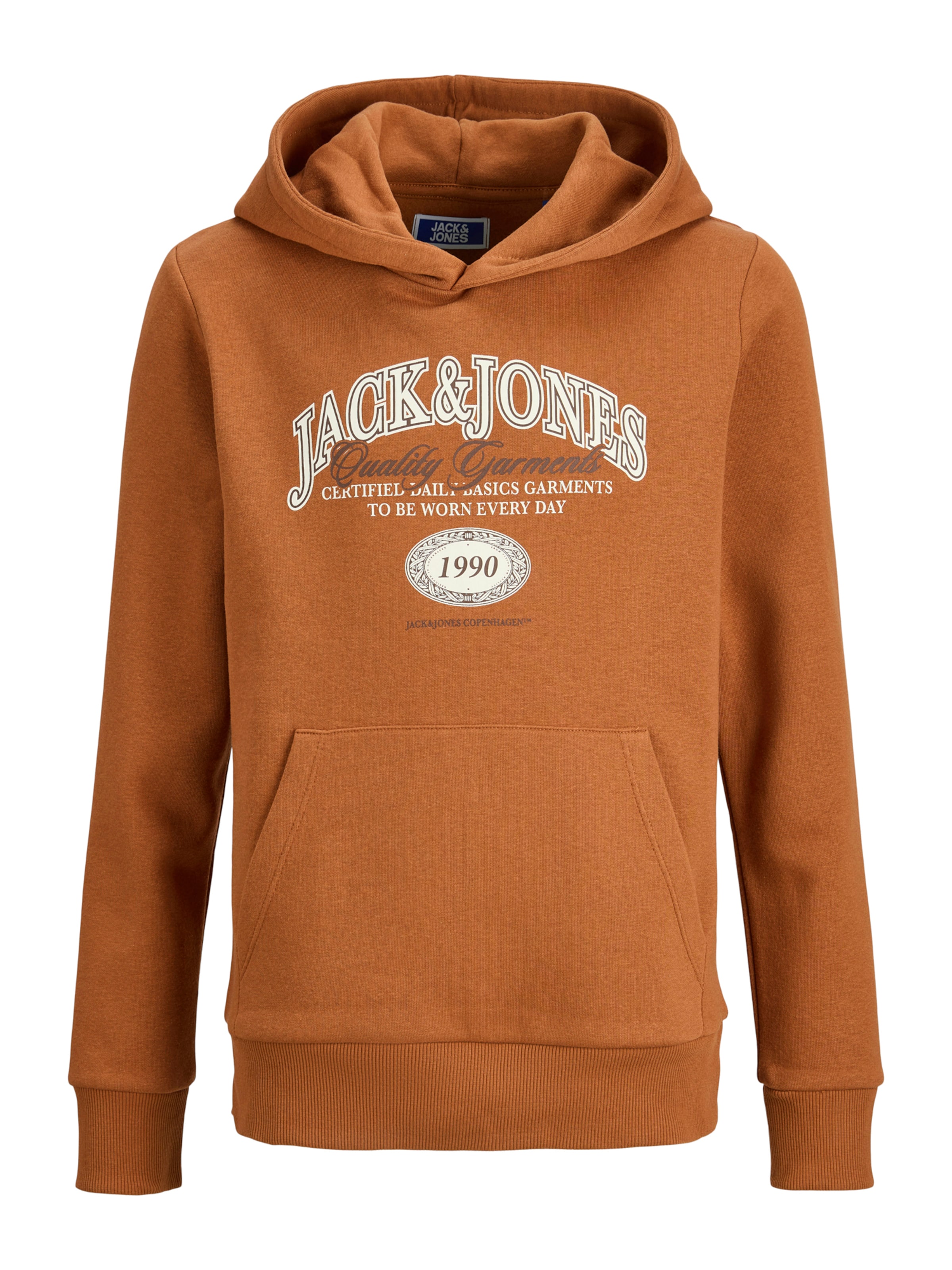 Jack &amp; Jones Junior Sweatshirt &#x27;JJARI&#x27; in Brown: front