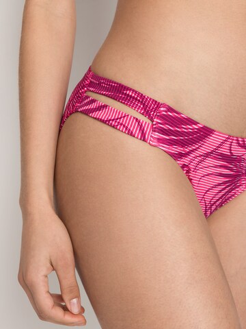 Pantaloncini sportivi per bikini di LASCANA ACTIVE in rosa