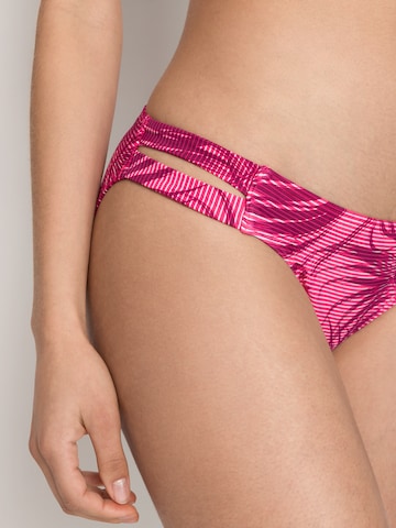 LASCANA ACTIVE - Braga de bikini deportiva en rosa
