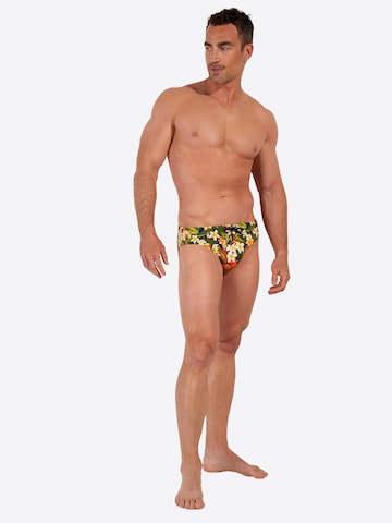 HOM Badehose ' Swim Mini Briefs Etna ' in Grün