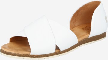 Apple of Eden Sandal in White: front