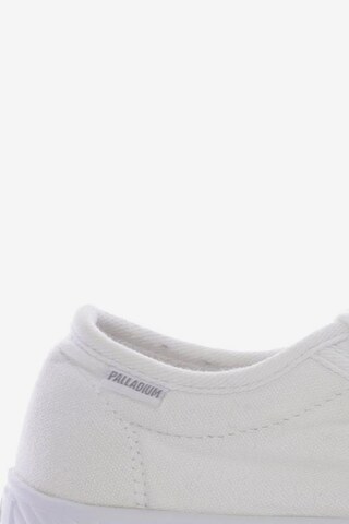 Palladium Sneaker 37 in Weiß