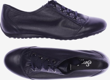 SEMLER Sneaker 35 in Blau: Vorderseite