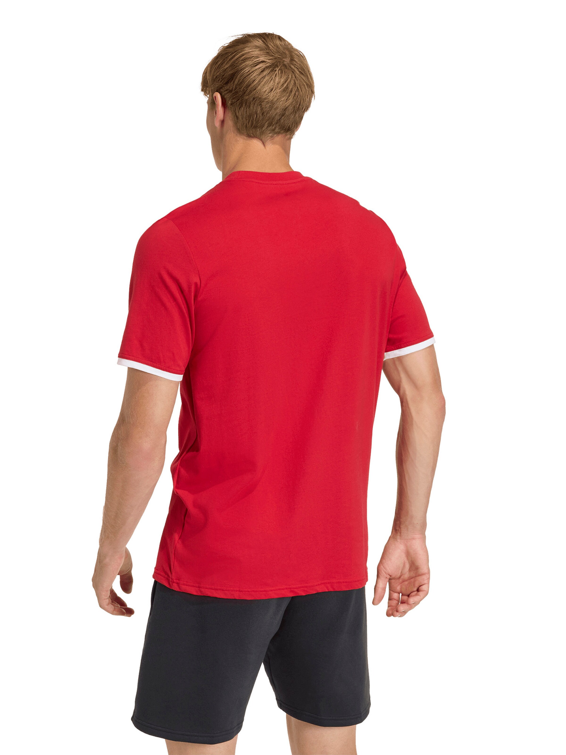 ADIDAS PERFORMANCE Λειτουργικό μπλουζάκι 'ENT26' σε κόκκινο