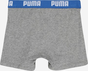 PUMA Boxershorts in Blau