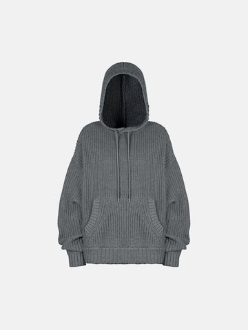 ENRAGE Oversized Sweater 'SWEATER HOODIE' in Grey: front