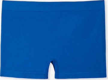Panty di ETAM in blu: frontale