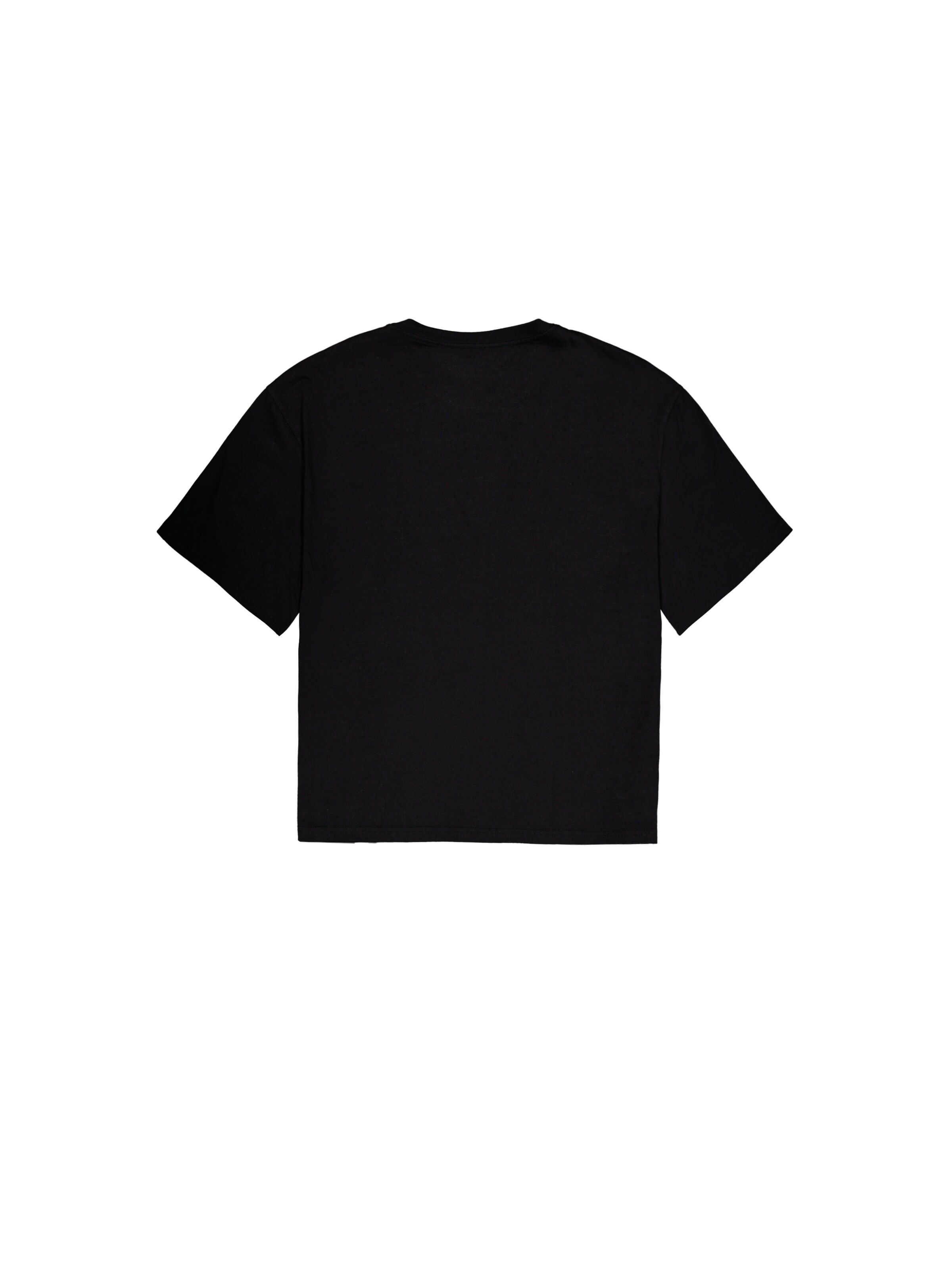 juoda ALPHA INDUSTRIES Marškinėliai 'Studio Edition'