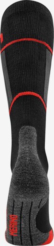 normani Athletic Socks ' Darwin ' in Grey