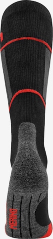 Chaussettes de sport ' Darwin ' normani en gris