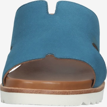 ARA Pantolette in Blau