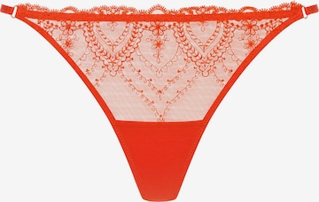 Mey Thong in Orange: front