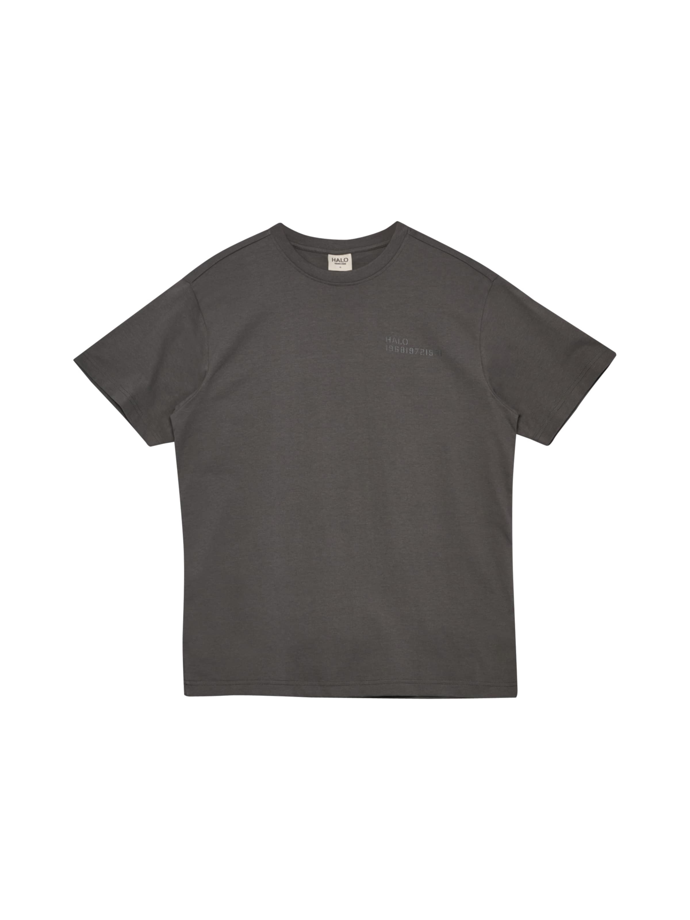 HALO Shirt 'Essential' in Grey: front